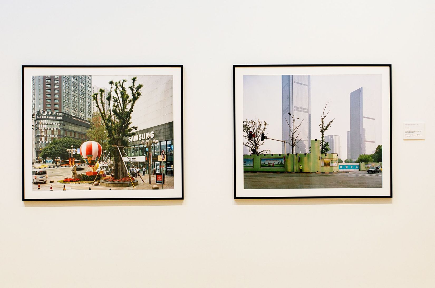 The Art of Trees_6340.jpg